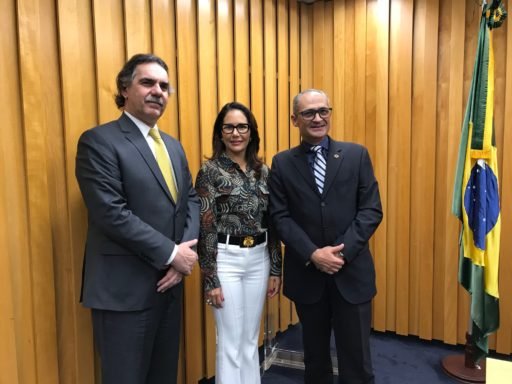 Coleprecor escolhe os novos dirigentes para a gestão de 2019